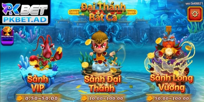 Những kinh nghiệm thông minh giúp săn thưởng