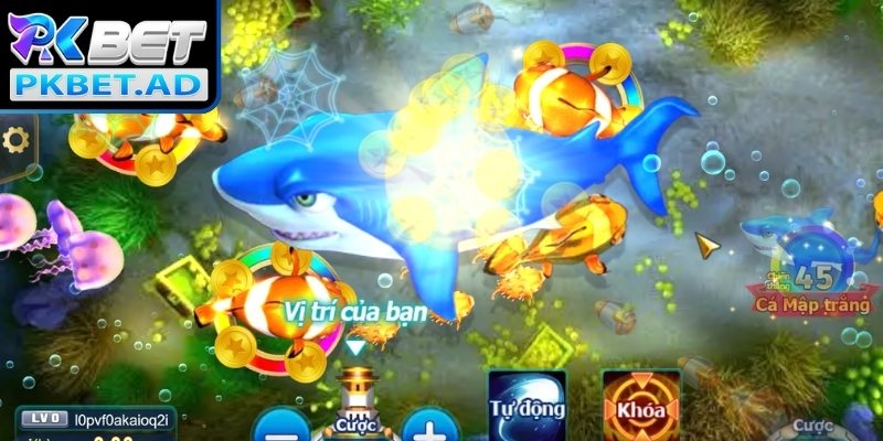 Một số kỹ năng quan trọng