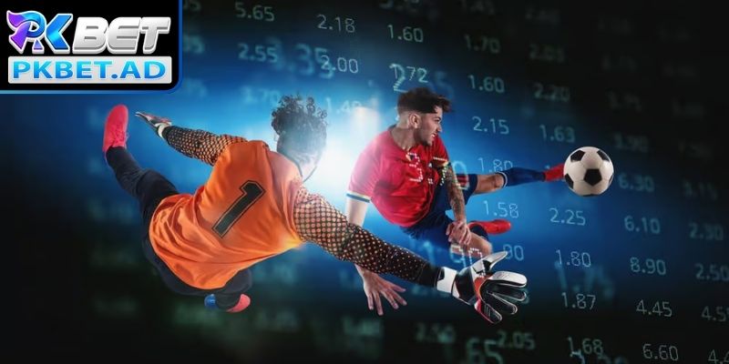 Kèo 1/2 Pkbet là gì?
