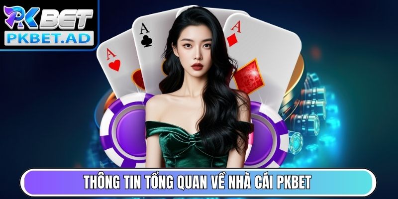Thông tin tổng quan về nhà cái Pkbet
